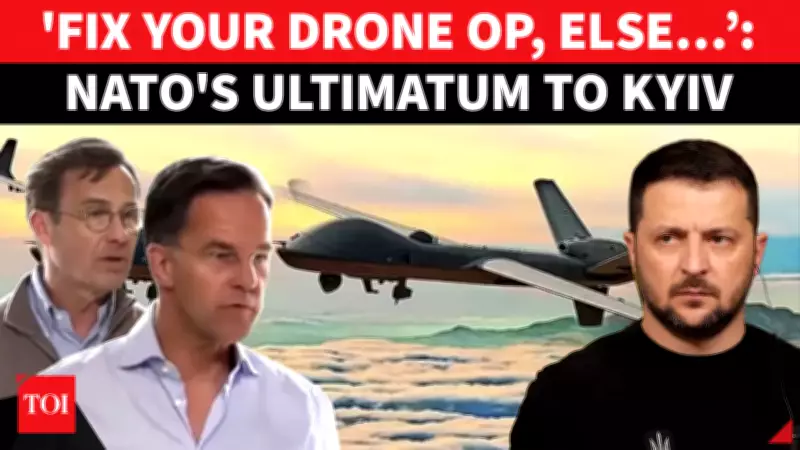NATO Warns Ukraine as Drones Enter Airspace; Sweden PM Urges Caution