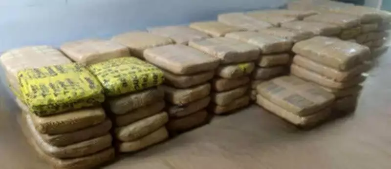 NCB Seizes 465kg Ganja in Chennai, Two Arrested in Major Bust