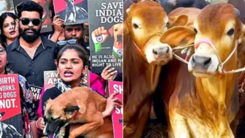 NCRB Tracks Animal Cruelty for First Time: 9,039 Cases in 2024