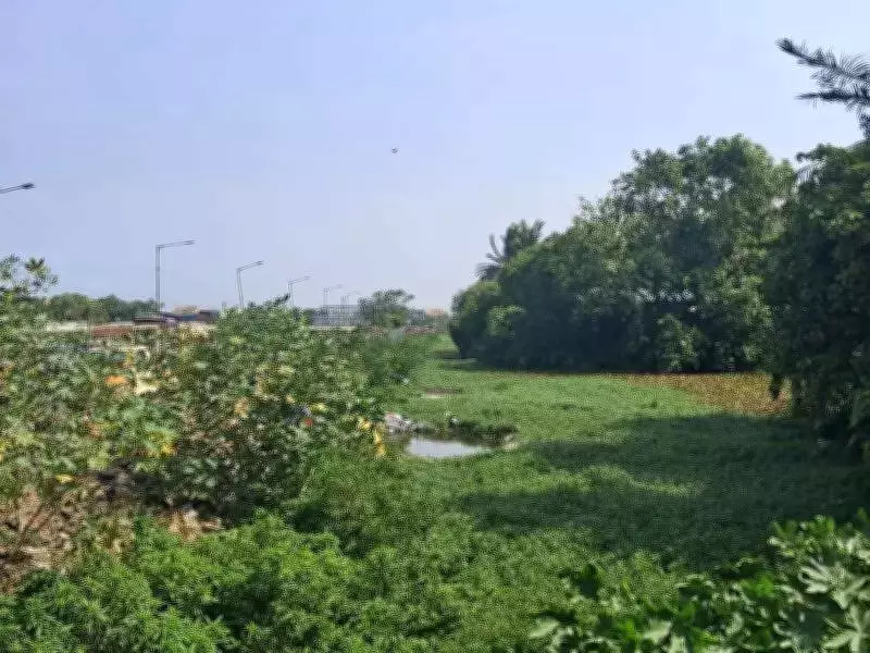 Neglected canal in Chennai turns from flood buffer to flood inducer
