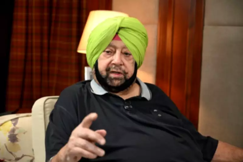 New Punjab BJP Chief Won't Be Able to Deliver: Capt Amarinder
