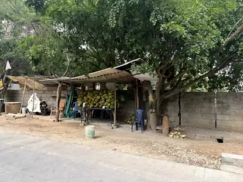 New road brings relief but encroachments plague Bengaluru's Holiday Village Road