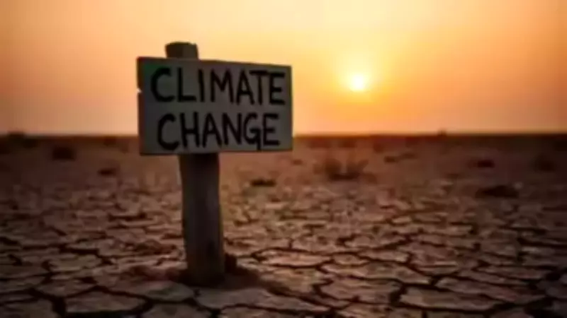 New Zealand to Block Climate Lawsuits Against Companies, Minister Says