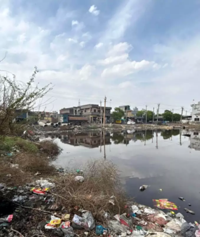 NGT forms panel to probe environmental violations by Faridabad electroplating units