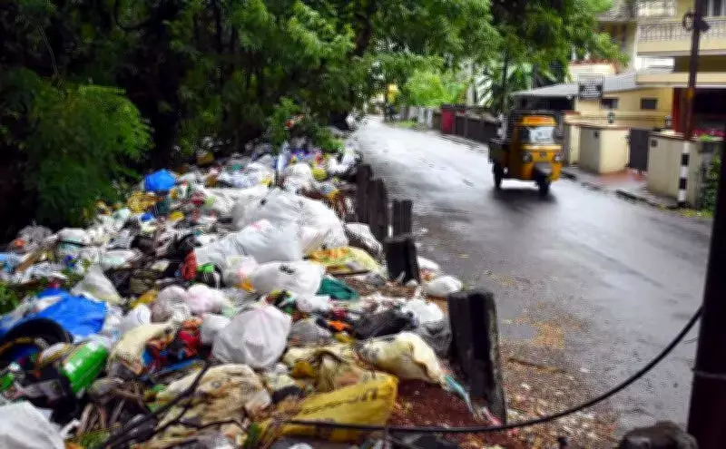 NH 66 Service Road at Madavana Becomes Dumping Ground for Food Waste