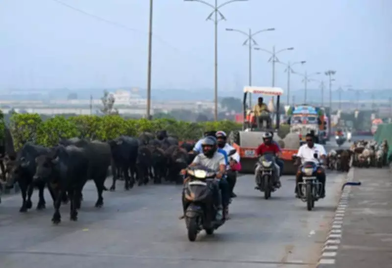 NHAI cancels tenders for Vijayawada infra projects after unqualified bids