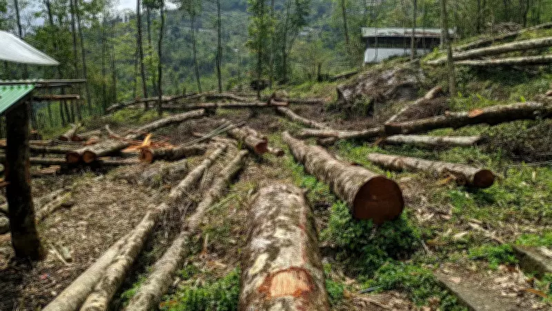NHAI Proposes to Clear 560 Trees for Five Different Projects