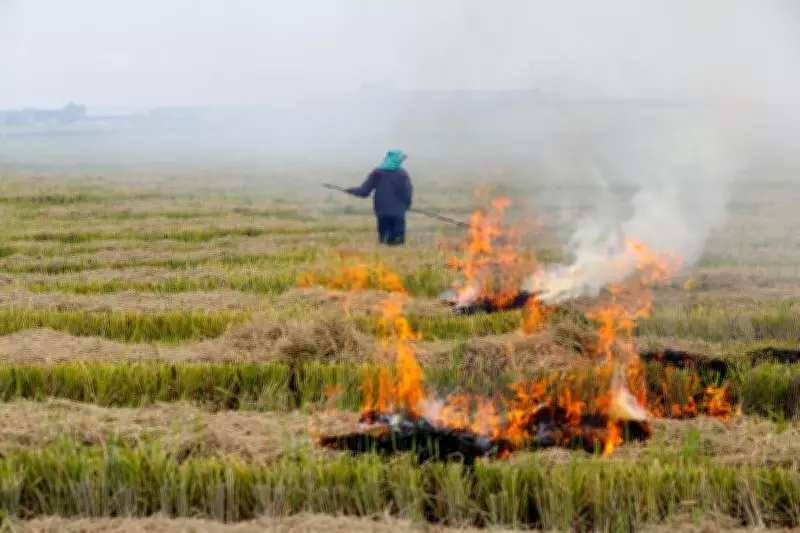 Nine FIRs Filed Against 12 Farmers for Stubble Burning in Karnal