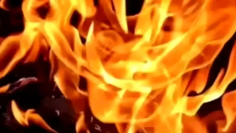 Nine Rescued After Fire Breaks Out at Cooler Grass Factory in Delhi's Bawana