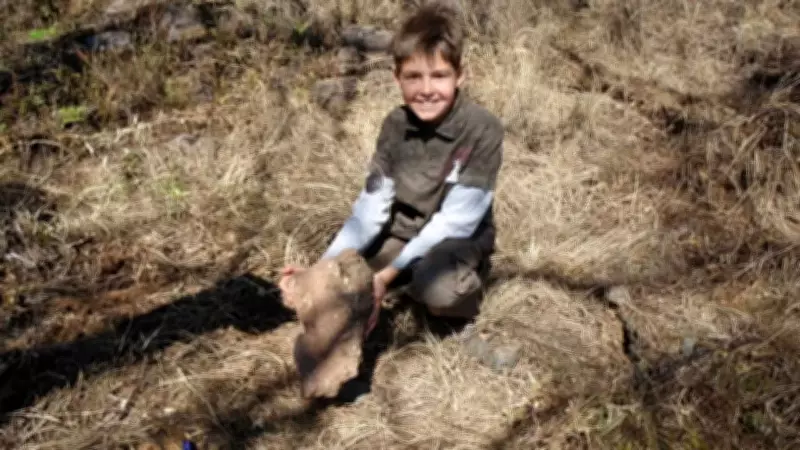 Nine-Year-Old Boy Discovers Fossils of New Human Ancestor Species