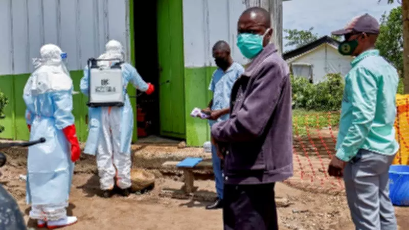 No Ebola Cases in India, Karnataka Issues Travel Advisory After WHO Alert