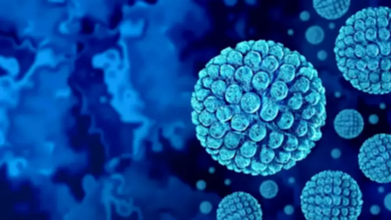 Norovirus Outbreak Hits Caribbean Princess Cruise Ship, Over 100 Sick