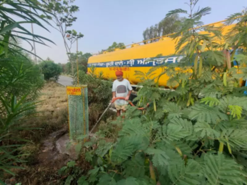 Nurturing Saplings with Spirit of Service in Amritsar