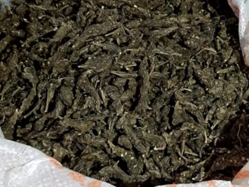 Odisha Police Suspends IIC for Ganja Smugglers Links, 2 Others Suspended