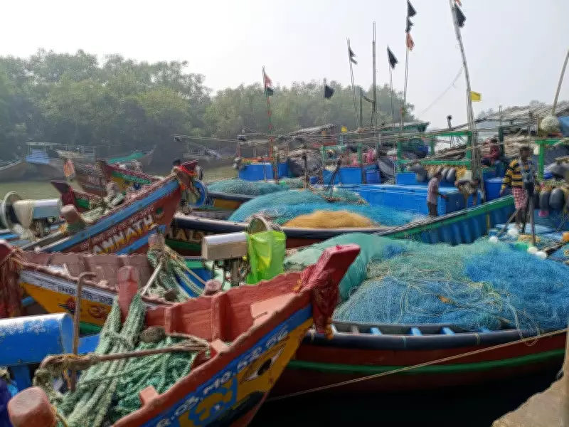Odisha to provide Rs 1,500 monthly compensation to 12,000 marine fishermen during fishing ban