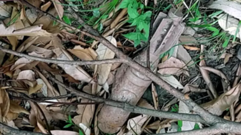 Old Mortar Shell Recovered and Defused in Poonch Park