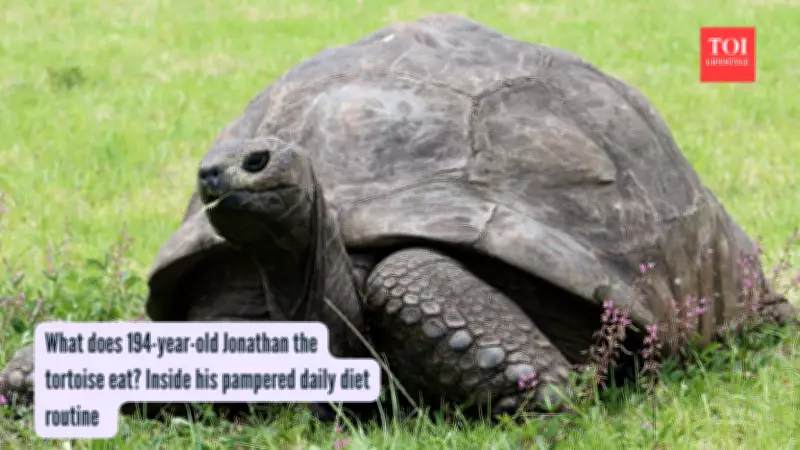 Oldest Living Land Animal Jonathan the Tortoise Turns 194, Still Active