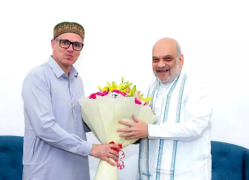 Omar Abdullah Meets Amit Shah, Pushes for J&K Statehood Restoration