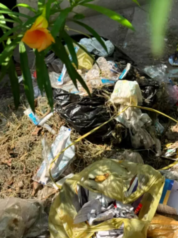 Open Dumping of Medical Waste Raises Health Concerns in Punjab's Doraha