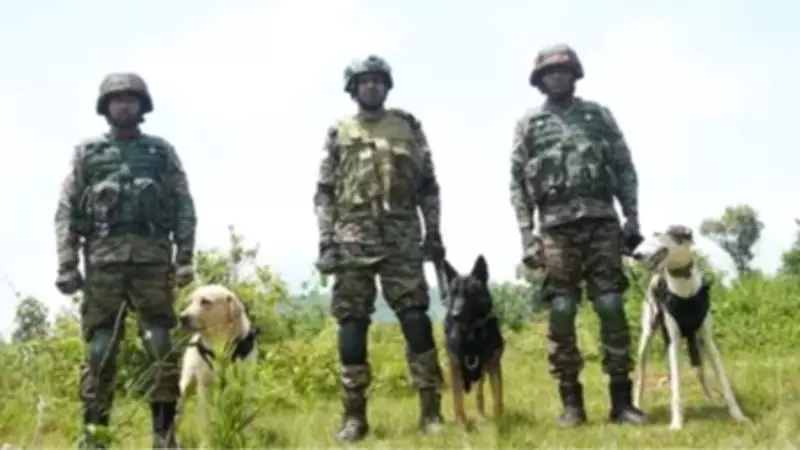 Operation Sheruwali Day 4: Forces Intensify Hunt for Terrorists in Rajouri Forests