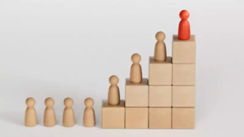 Our Fixation with Hierarchy: A Critical Examination of Social Structures