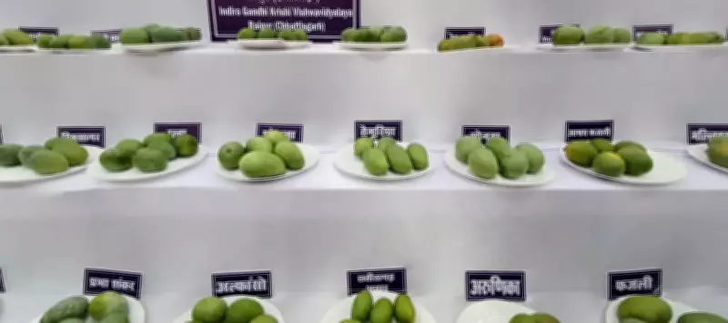 Over 250 Mango Varieties on Display at National Mango Festival in Raipur