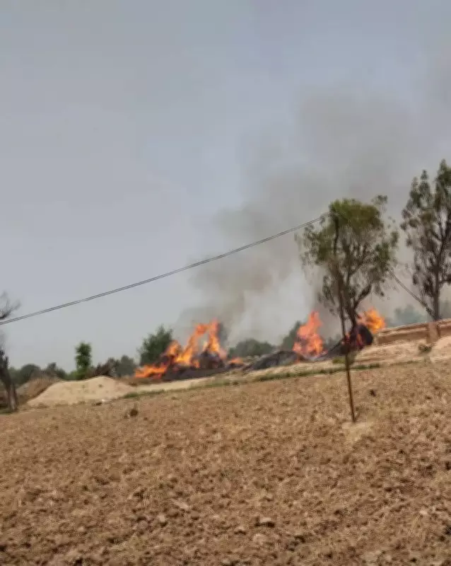 PAF Training Aircraft Crashes in Punjab, Pilots Eject Safely