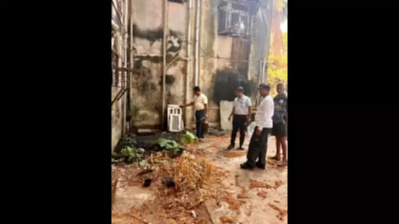 Panaji Civic Body Launches Pre-Monsoon Drive Against Vector-Borne Diseases