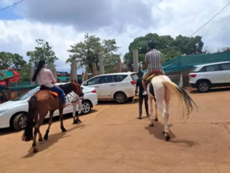 Panchgani Police and Civic Body Crack Down on Overcharging Horse Operators