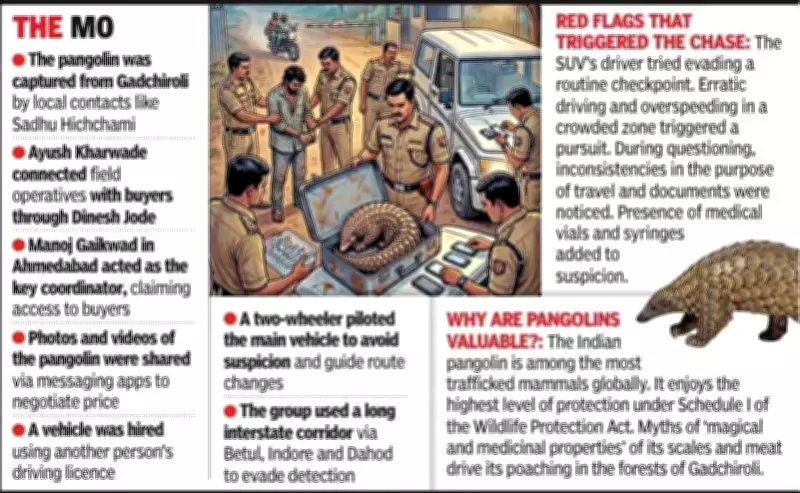 Pangolin Trafficking Racket Busted: Rs 8 Crore Deal Exposed in Gujarat