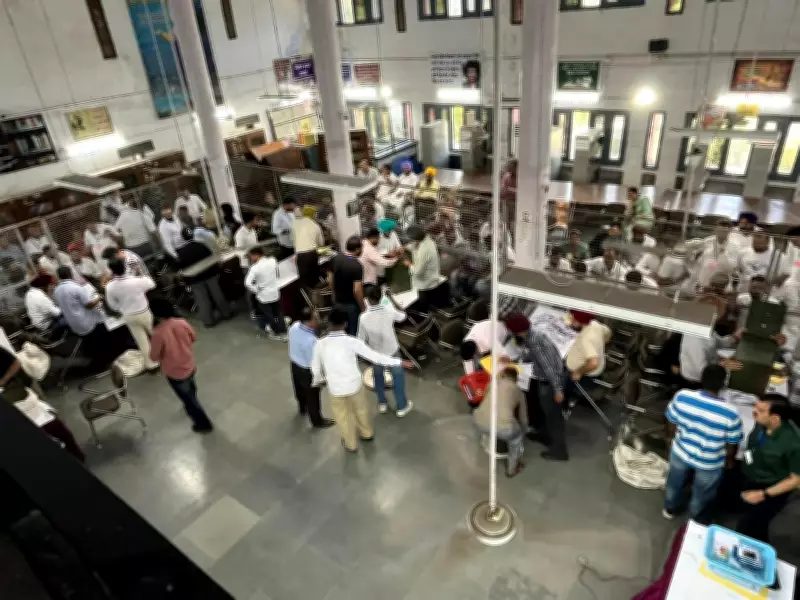 Panjab University Alumnus Amarpal Singh Toor Wins Municipal Council Election
