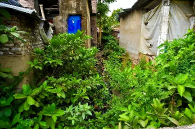 PDKV's 26.69 Hectares Encroached for 50 Years in Prime Nagpur Area
