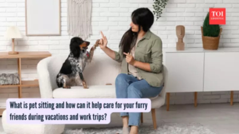 Pet Sitting: From Family Care to Global Travel Trend Explained