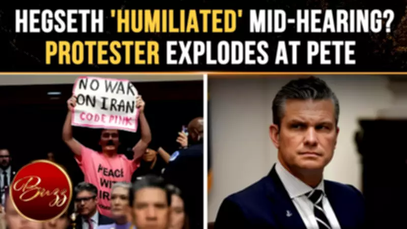 Pete Hegseth Hearing Paused as Protester Shouts 'War Criminal'; Viral Moment