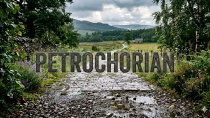 Petrichorian: The Word for Those Who Love the Smell of Rain