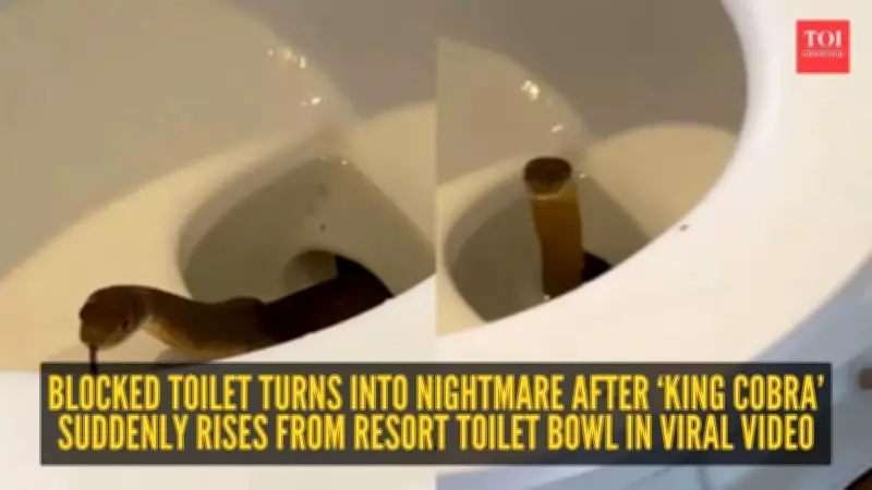 Philippines Toilet Snake: Friends' Vacation Turns Into Nightmare
