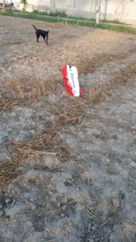 PIA Balloon Lands in Punjab Field, Police Investigate