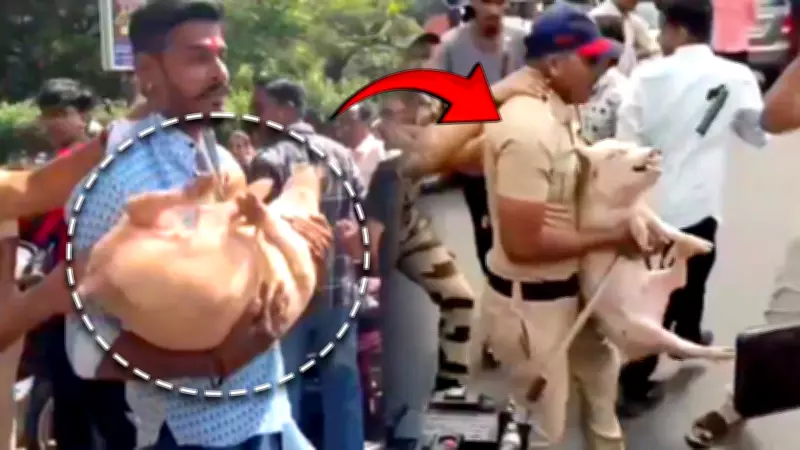 Pig Slogan Sparks Outrage in Mira Road Housing Society Clash During Bakrid Prep