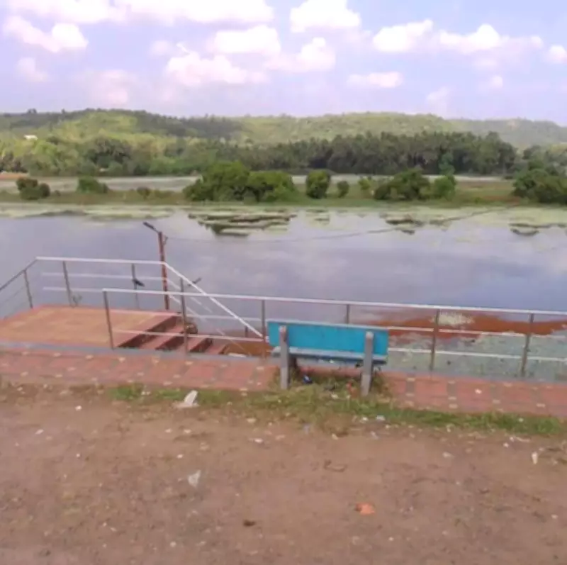 PIL Filed in Bombay HC Over Alleged Damage to Pat Wetland in Sindhudurg