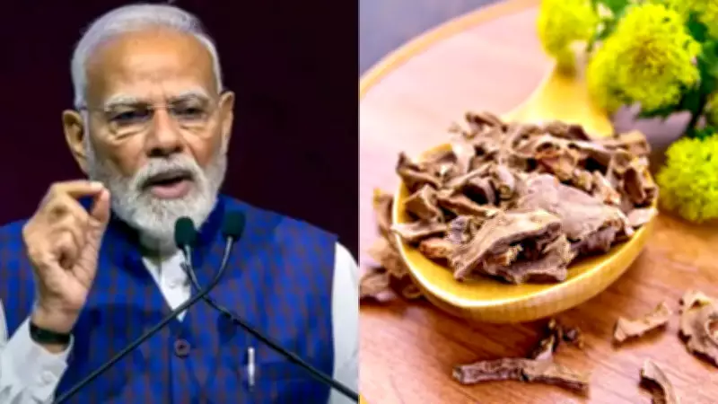 PM Modi's 'Sanjeevani' Herb Solo: 4 Easy Ways to Add Rhodiola to Your Meals