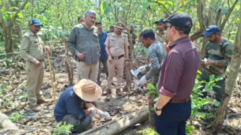 Poachers Poison Two Tiger Siblings in Haridwar Forest, One Arrested