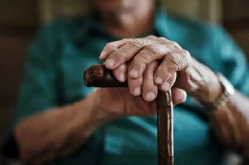 Portal Transition Delays Pension Payments to 2.5 Lakh Beneficiaries in Punjab