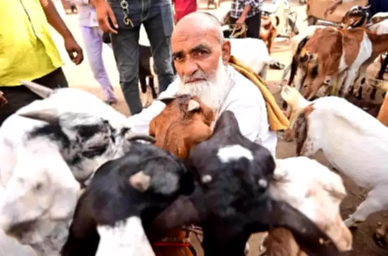 Prayagraj Police Intensifies Security for Bakrid, City Divided into 17 Sectors