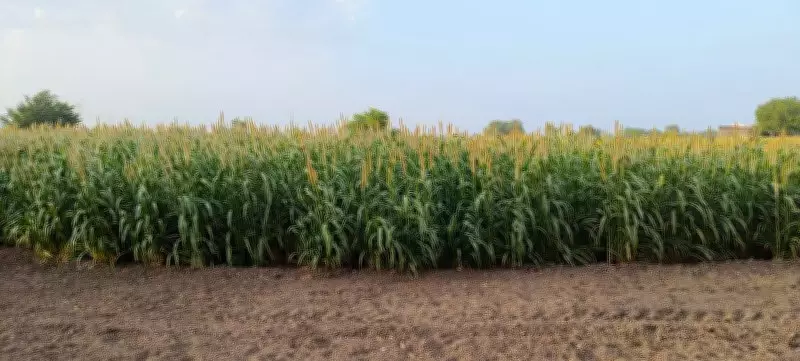 Preparing for a Tough Farming Season Ahead
