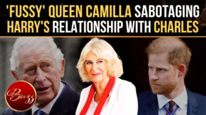 Prince Harry Blames Queen Camilla for Blocking Peace With King Charles: Report