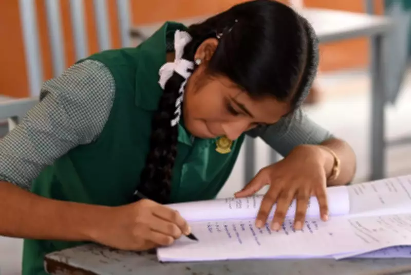 PSEB Class X Results: Ludhiana Tops Merit List But Govt Schools Lag