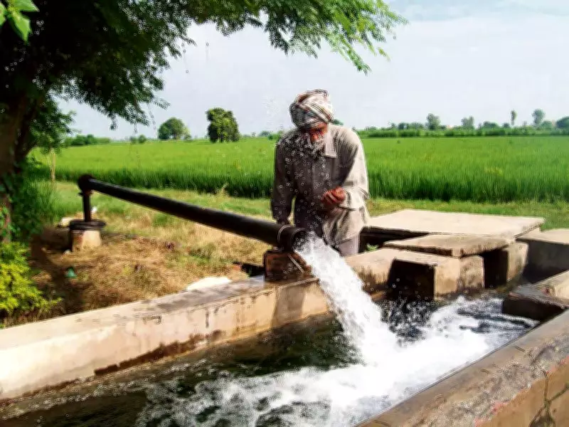 PSERC Voluntary Disclosure Scheme for Farmers Approved