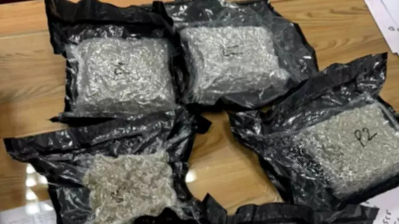 Pune Airport Customs Seize 3.5kg Hydroponic Weed Worth Rs 1.17 Crore