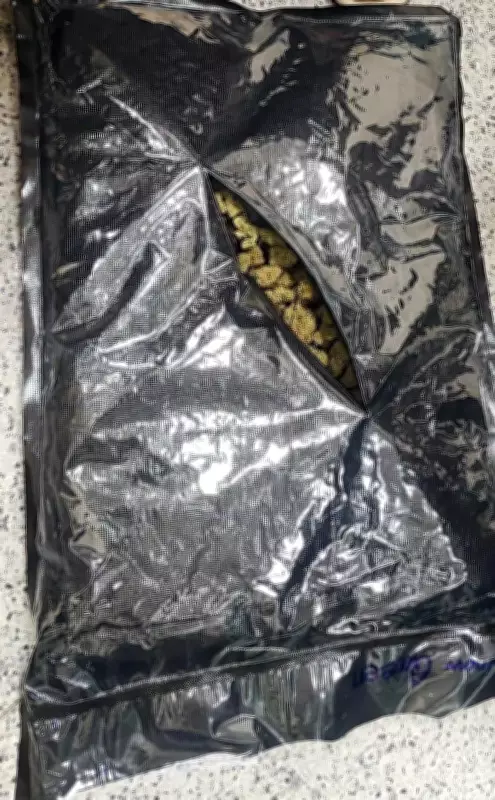 Pune Rural Police Bust Inter-State Ganja Network, Seize 634kg