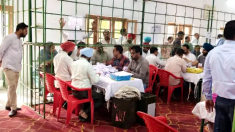 Punjab Civic Body Election 2026: AAP Leads Early as Counting Begins